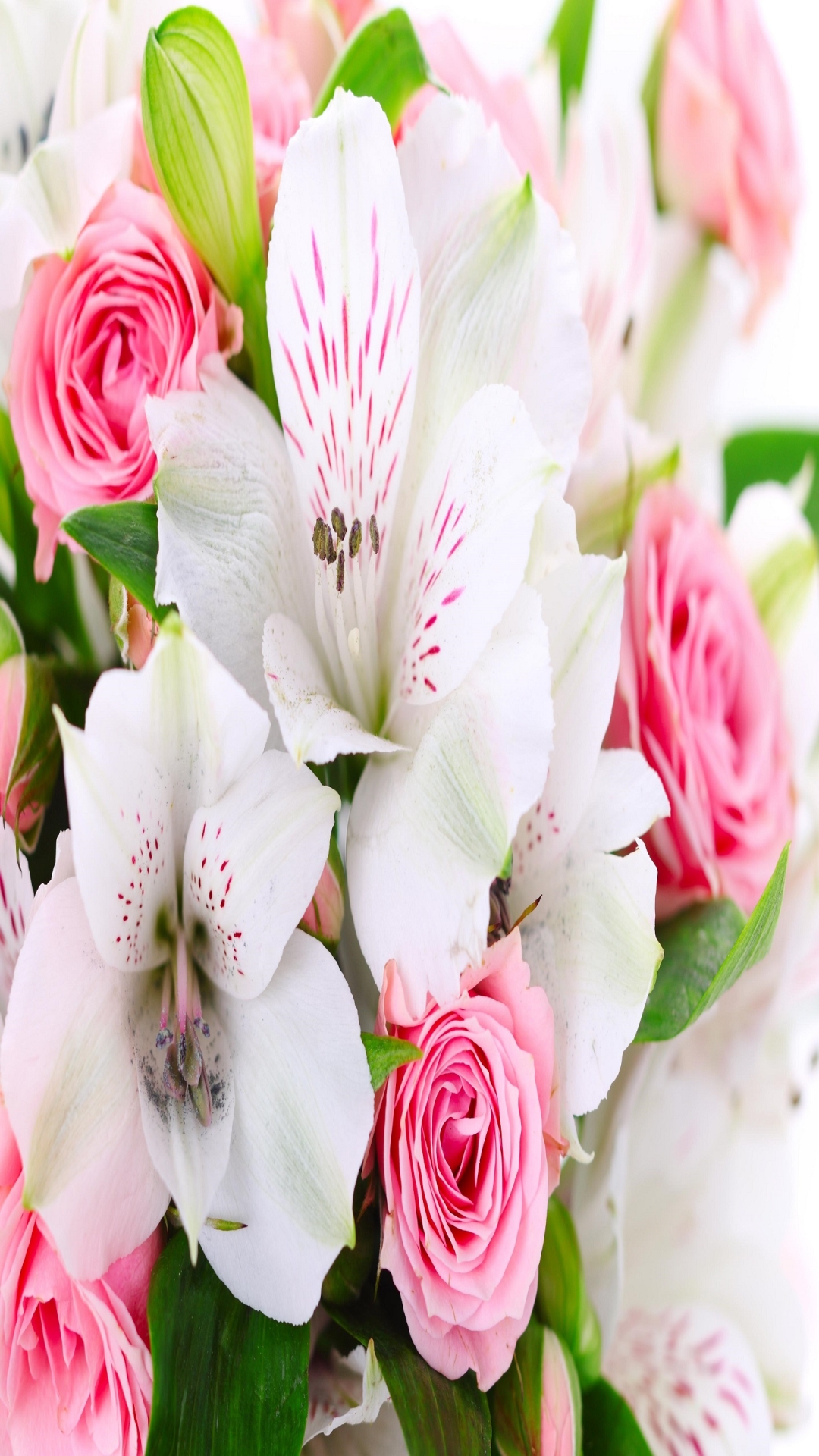 Pink Roses and White Lilies  for Samsung A9 Pro & A7 resolution