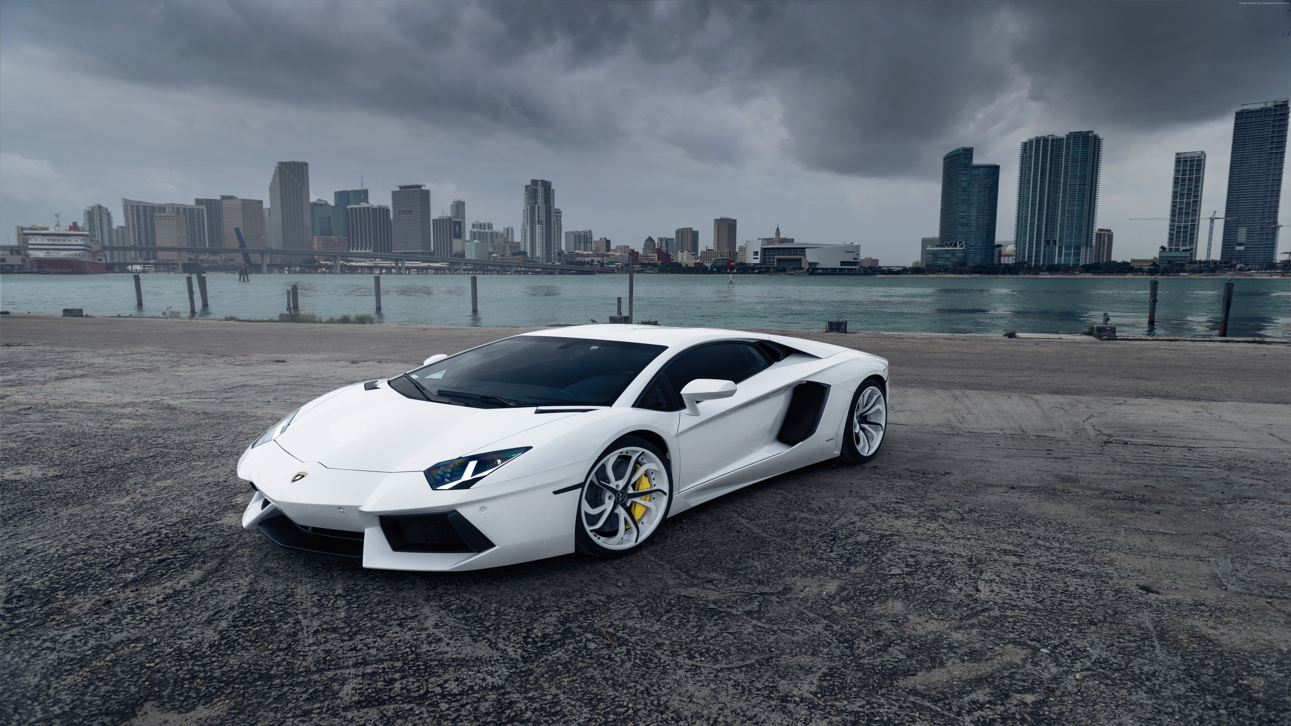White Lamborghini Aventador for 2560 x 1440 HDTV resolution