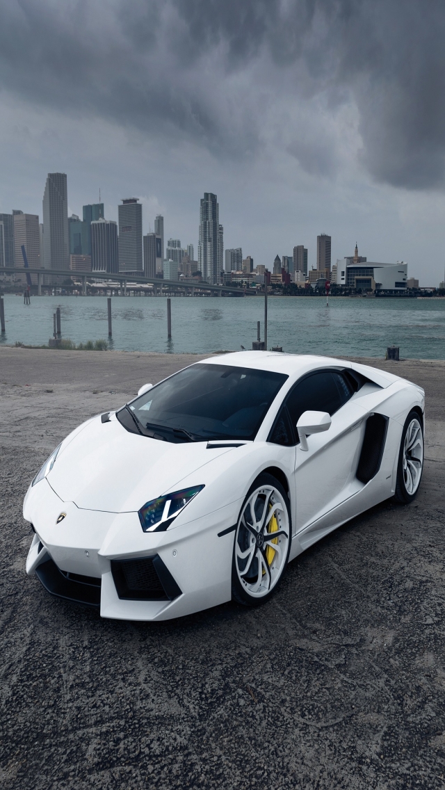 White Lamborghini Aventador for Apple iPhone 5 (SE) resolution